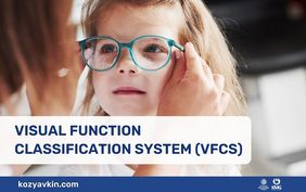 Visual Function Classification