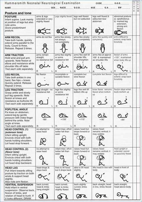 Hammersmith Infant Neurological Examination приклад